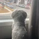 Mia profile