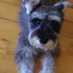 Tobby profile