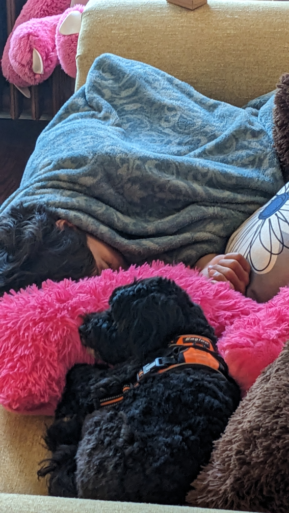 Kelly McIvor profile