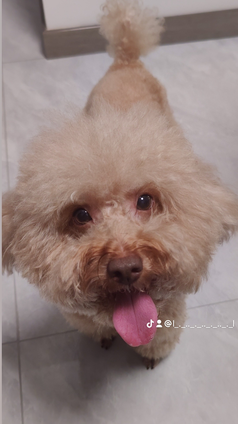 Swaggalicious profile