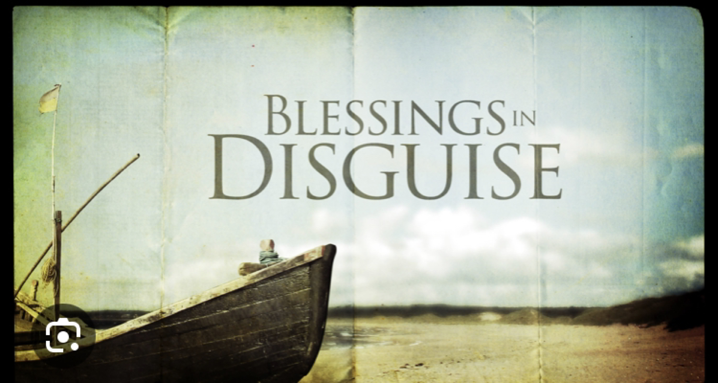 blessing in disguise profile