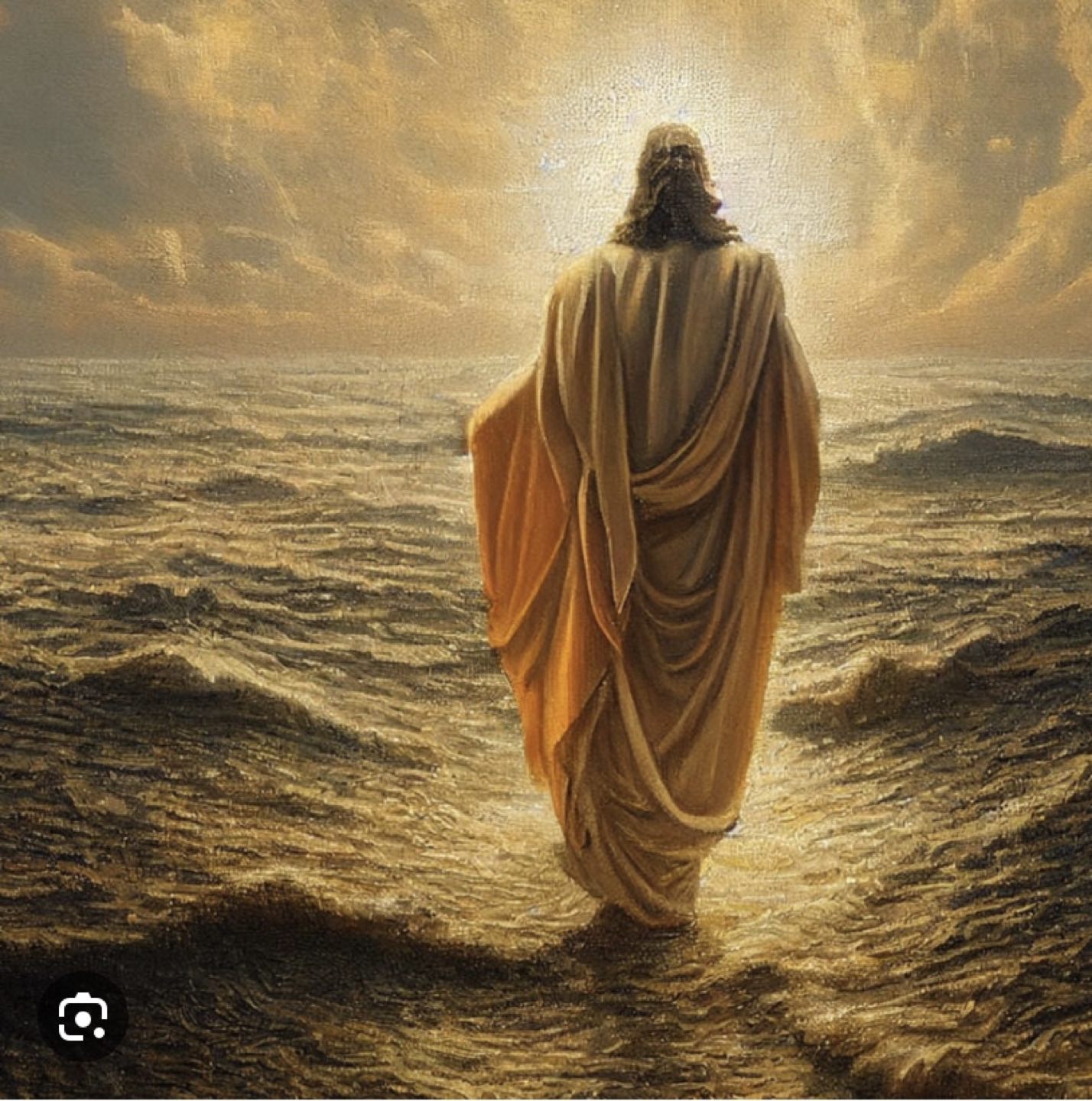 Frans the seller profile