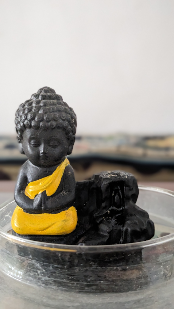 Dhirendra Nepal profile