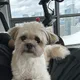 Bruce profile