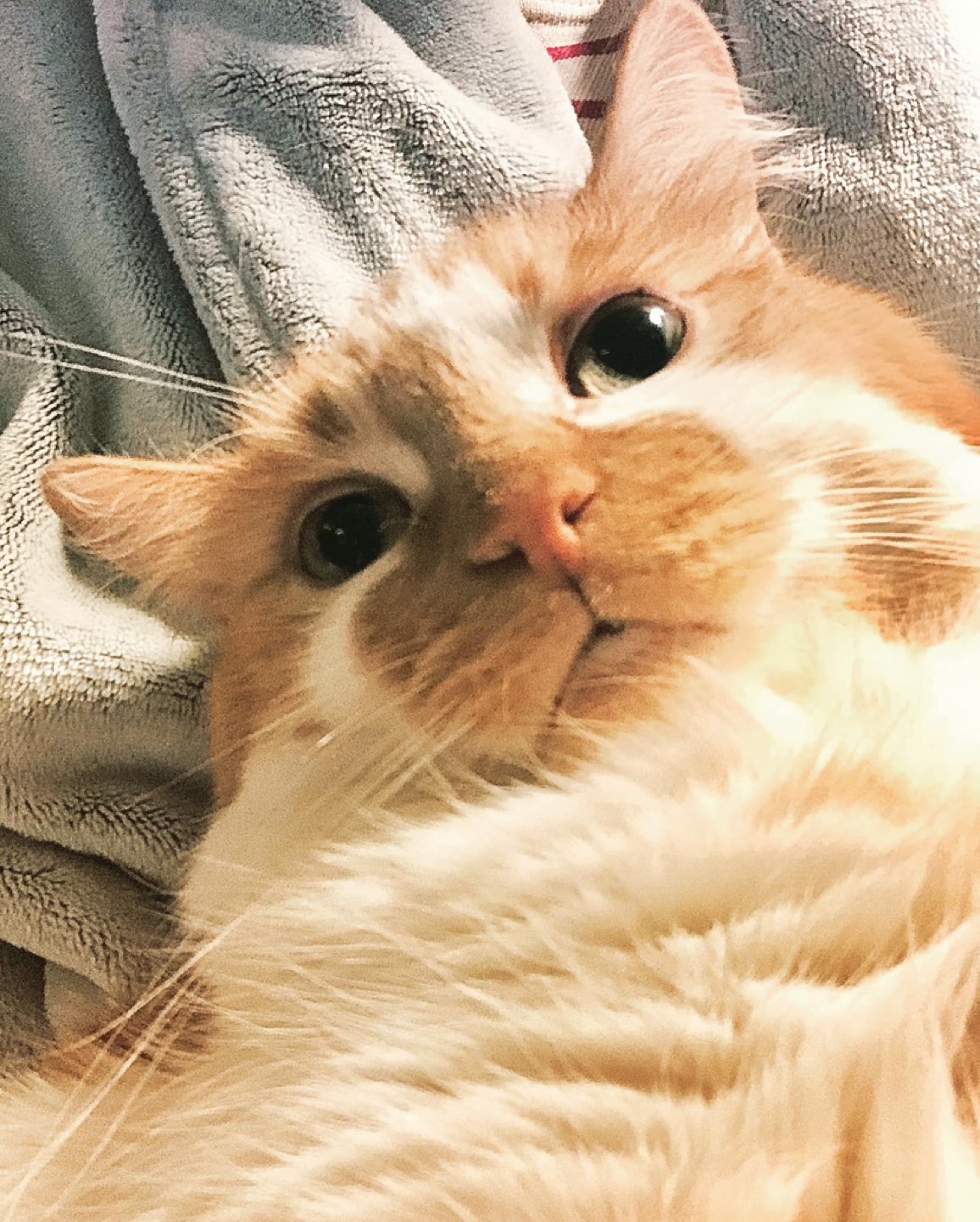 Biggie profile
