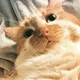 Biggie profile