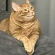Patrick profile