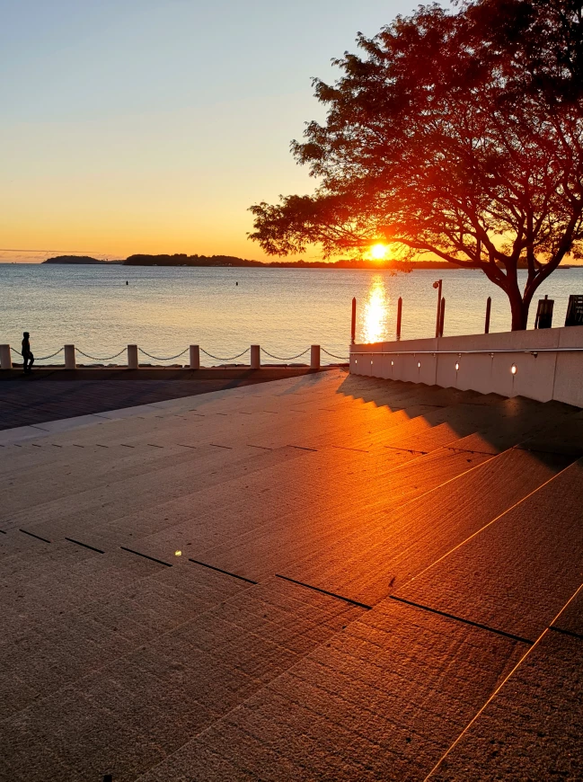 Annie Hailey profile