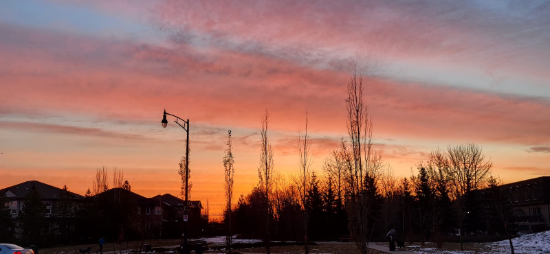 Brian s Flea Market profile