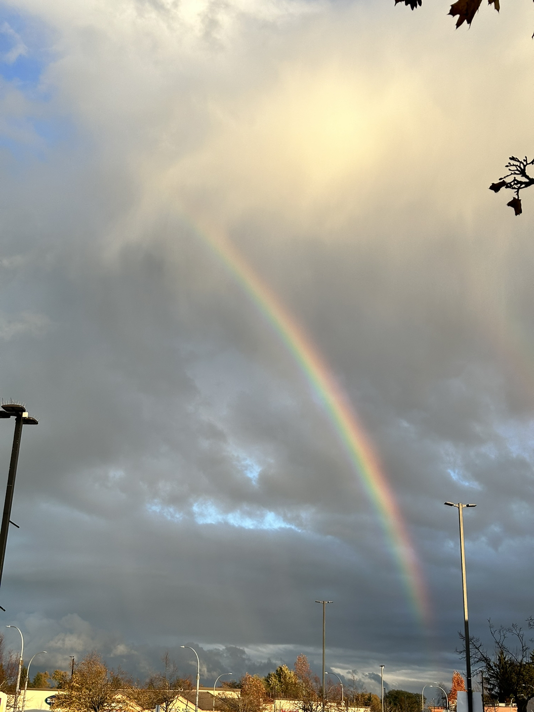 Rebecca Shatford profile