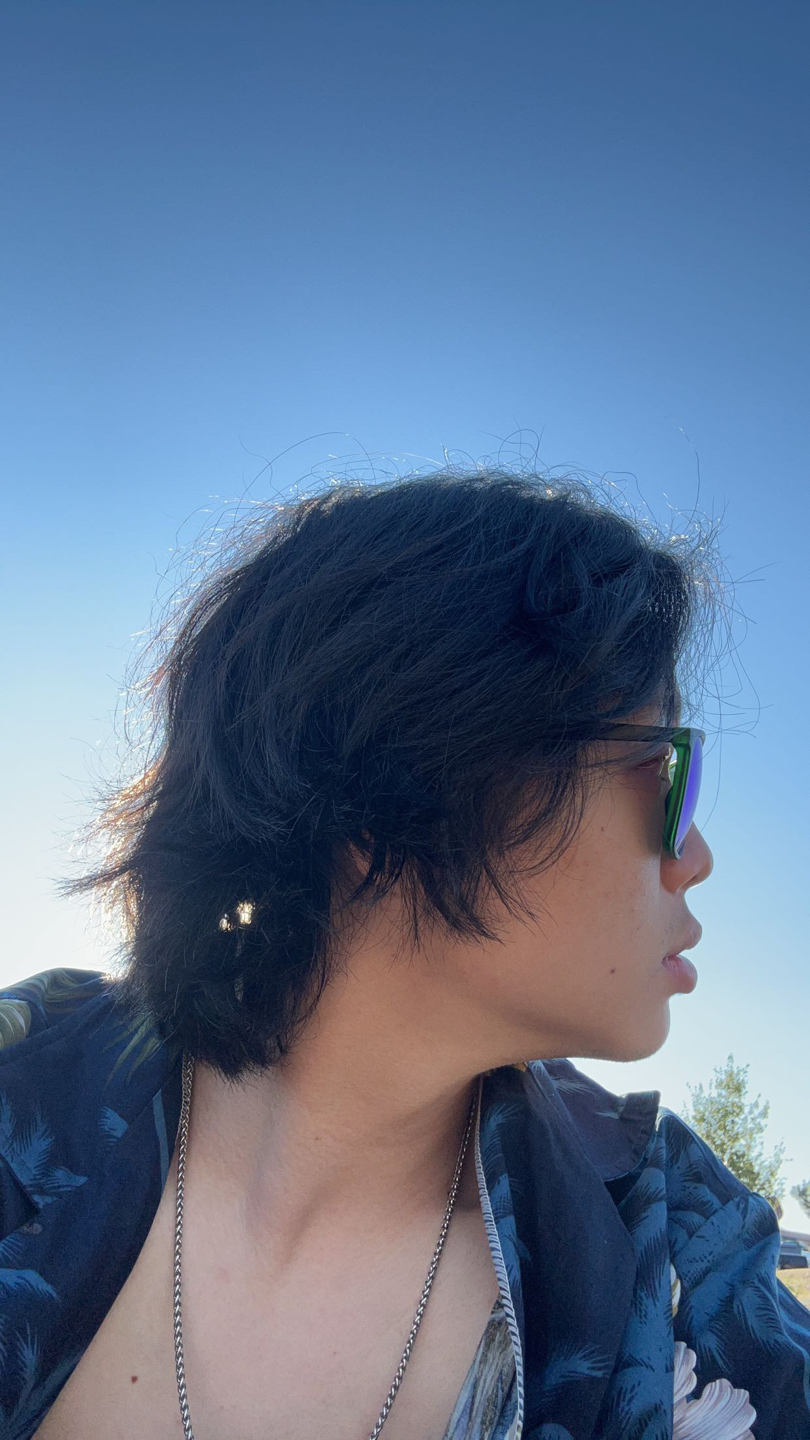 Andrew Ahn profile