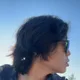 Andrew Ahn profile