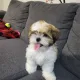 Jr profile