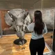 Cristina profile