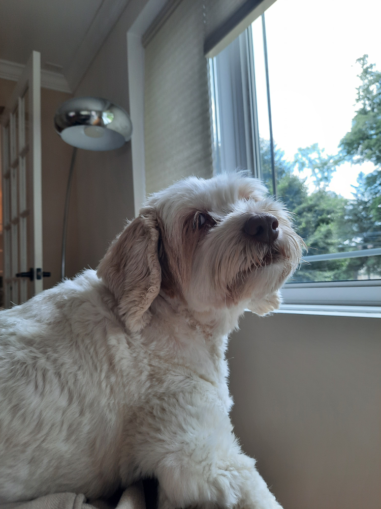 omar profile