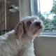 omar profile