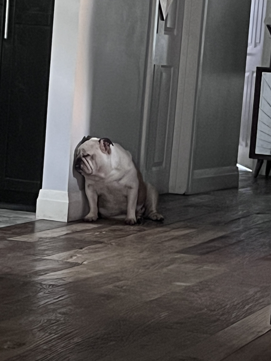 Filipa fernandes profile