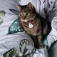 StorageW profile