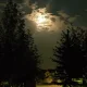 Ambz profile