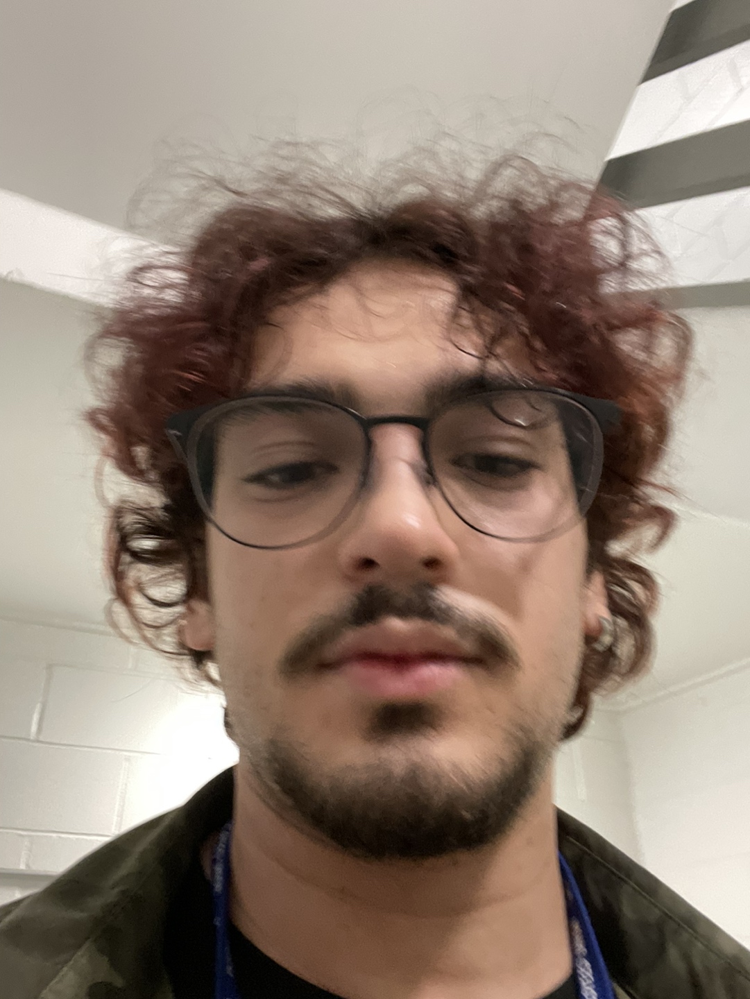 Dani profile