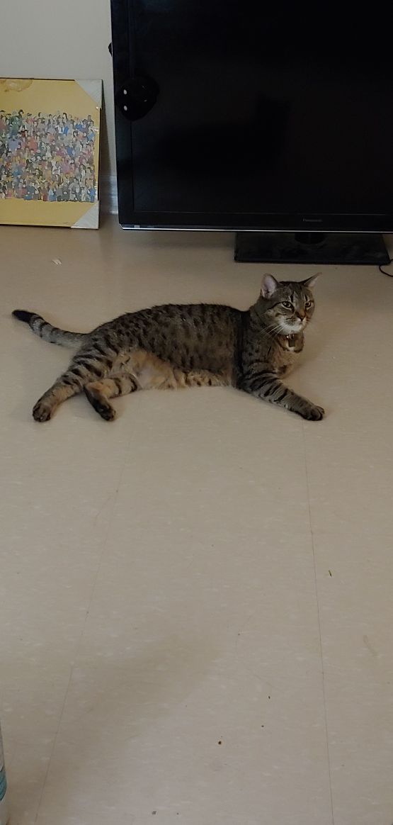 Kristina Hedley profile