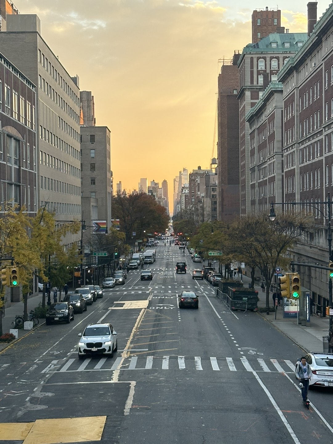 Wandering Trader profile