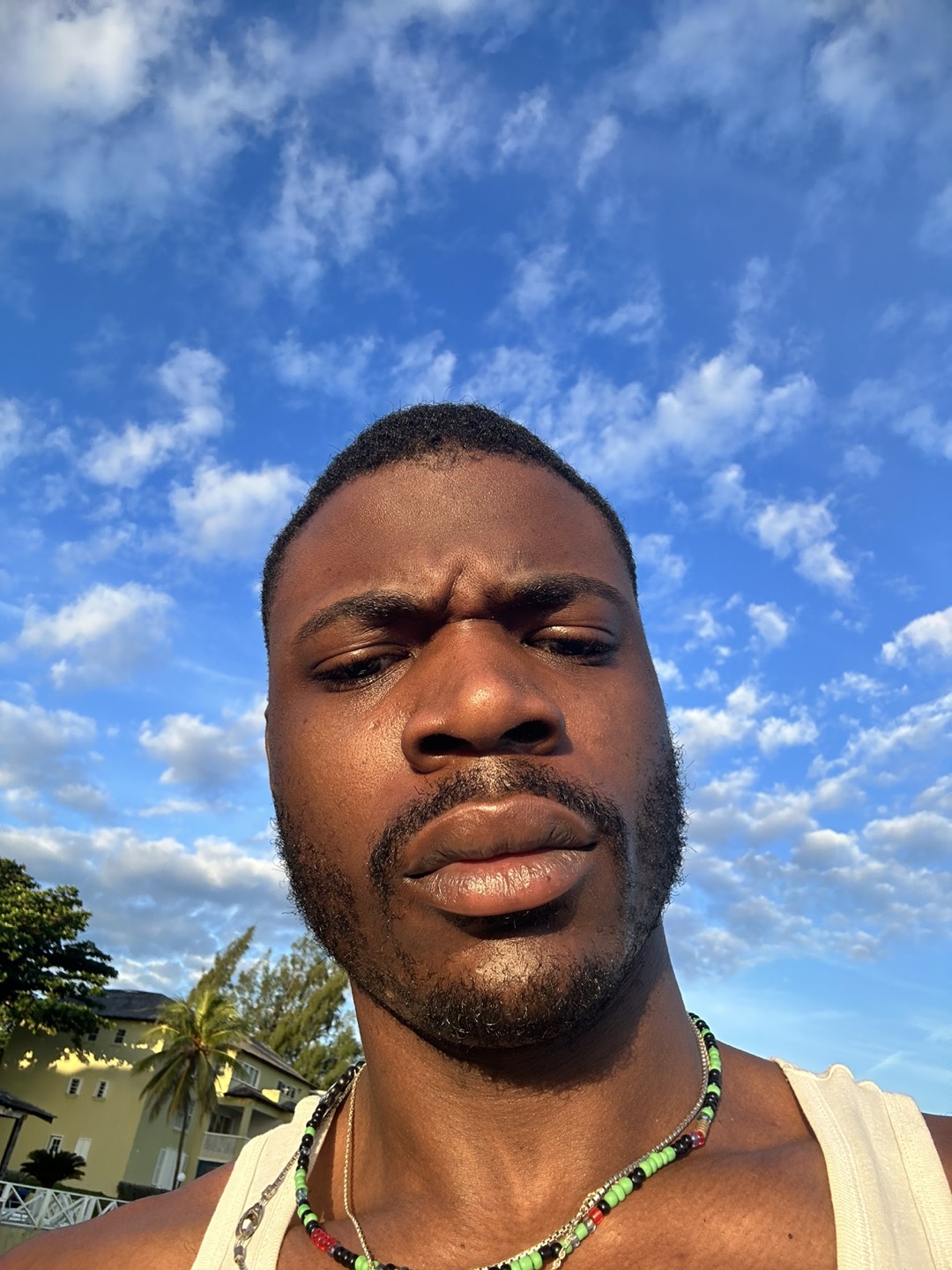 tav profile