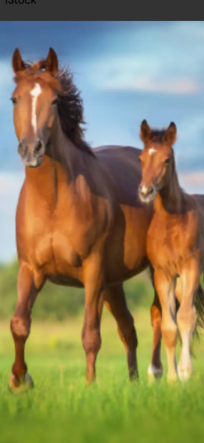 Deanna McTaggart profile