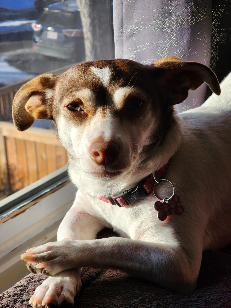 Beverly profile