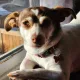 Beverly profile