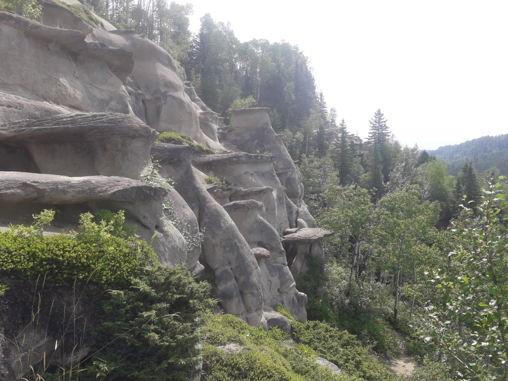 Jason Kirkwood profile