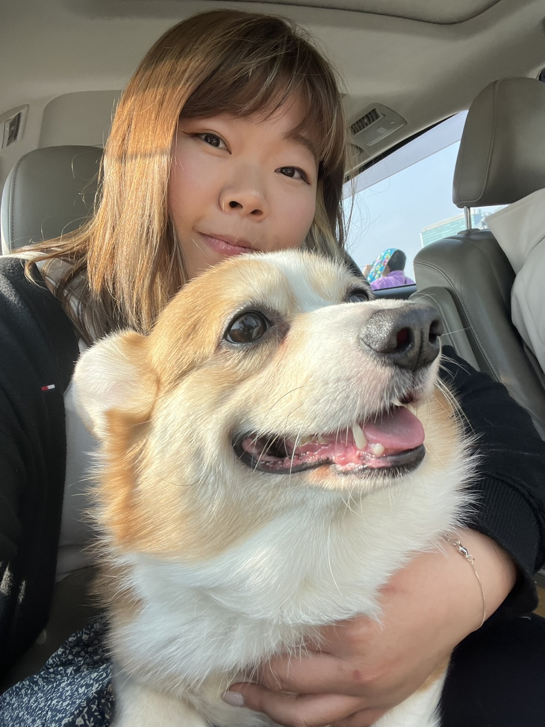 Laura hui profile