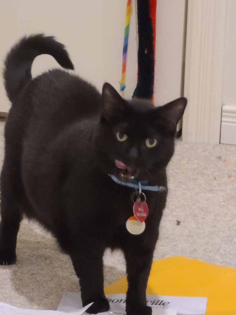 Kiki profile