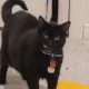 Kiki profile