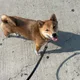 Meeks profile