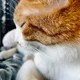 Mia profile