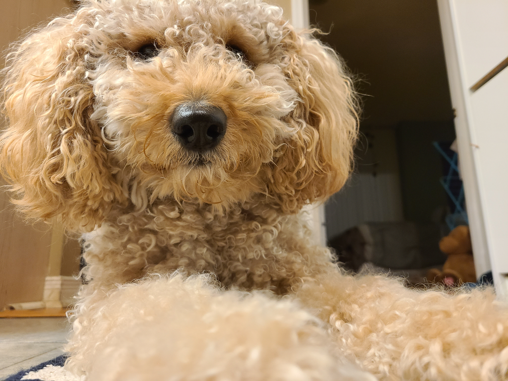 Sam profile