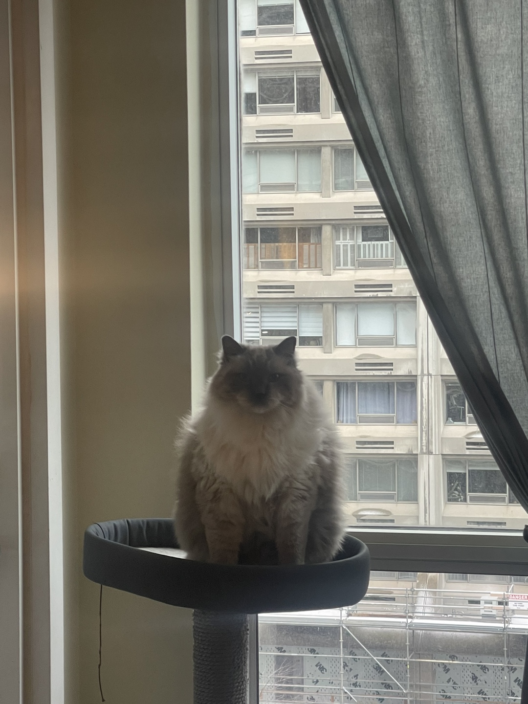nink profile