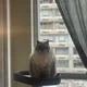 nink profile