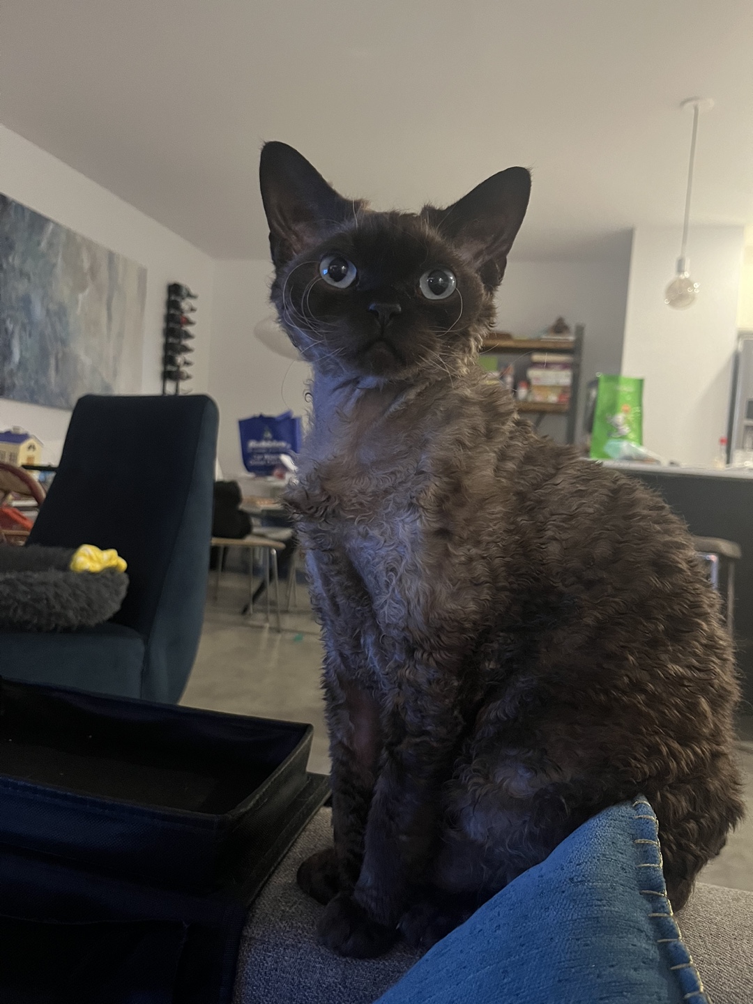 Patricia profile