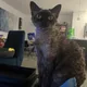 Patricia profile