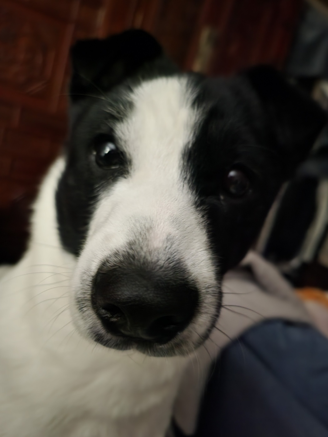 solly profile