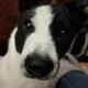 solly profile