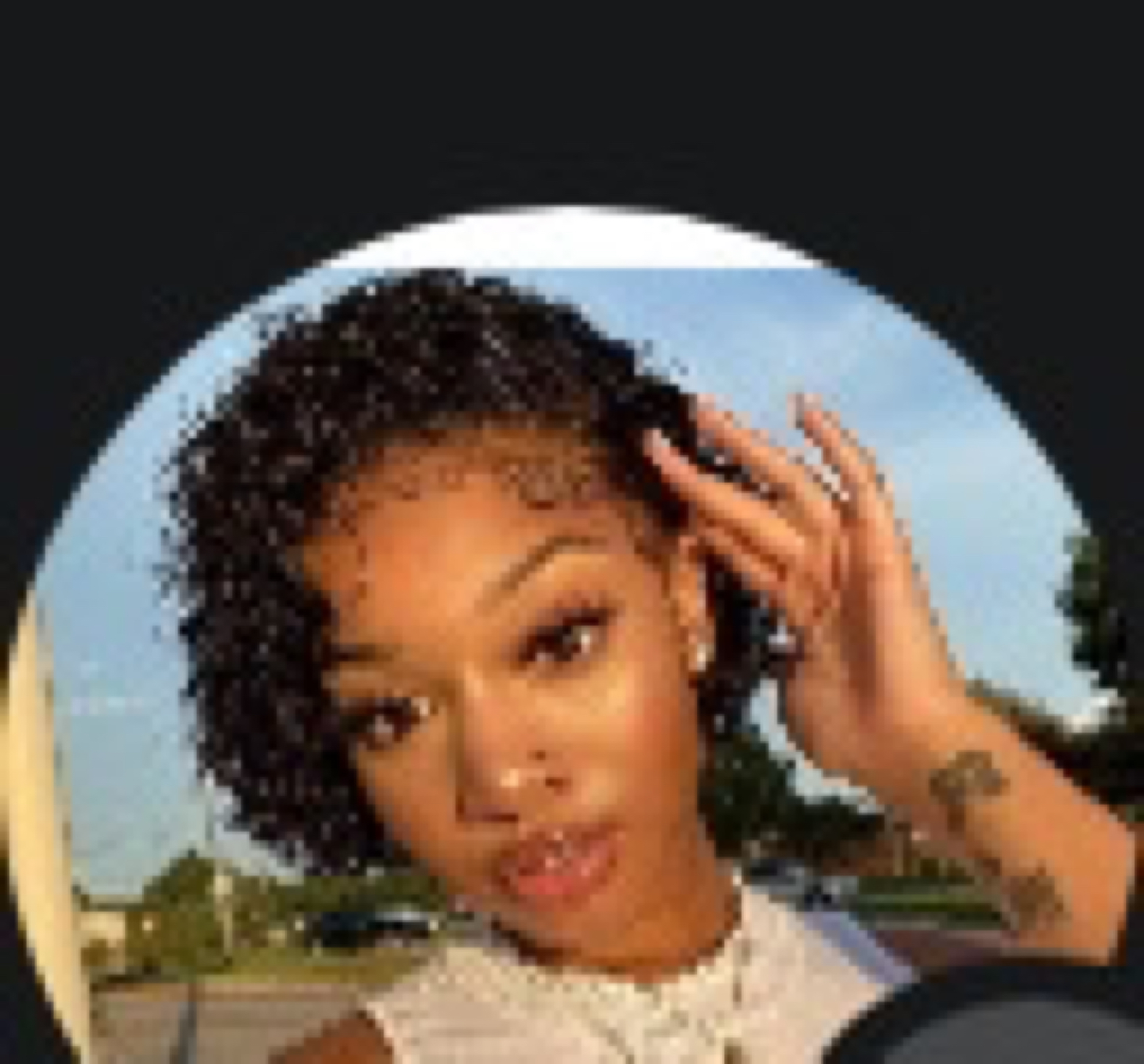 Carline profile