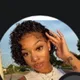 Carline profile