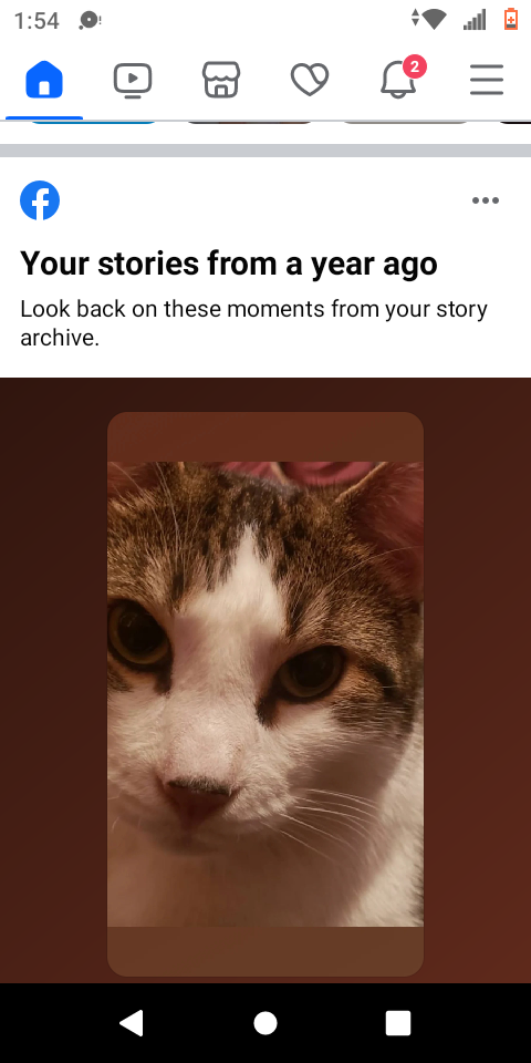 Francisco Garcia profile