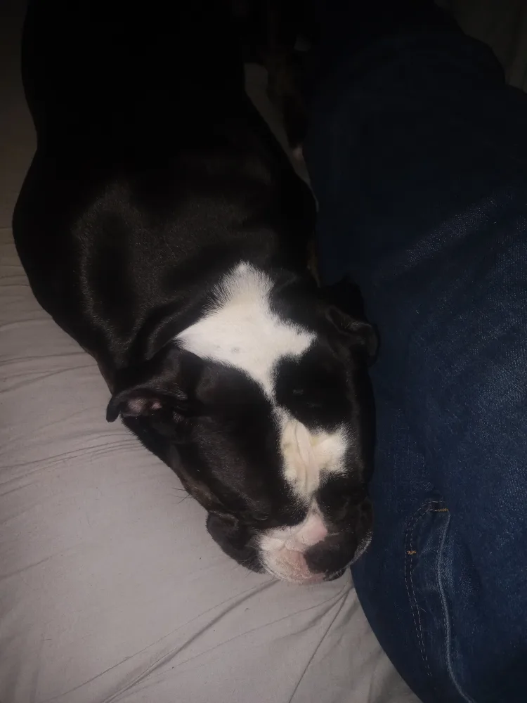 Tanya Harper profile