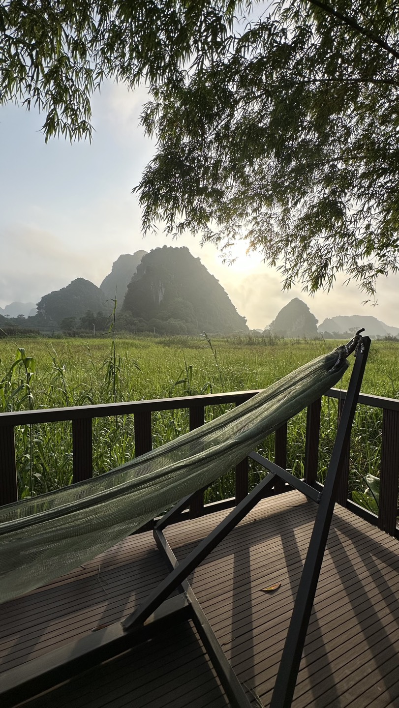 purrplepeonies profile