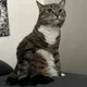 Abbi profile