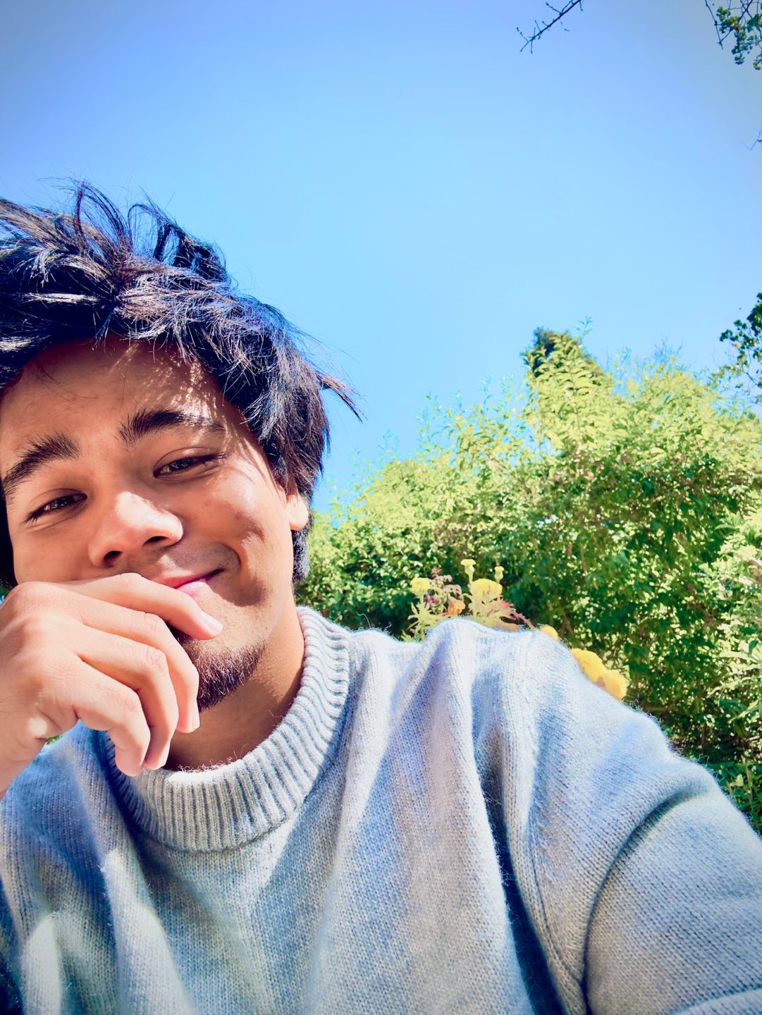 Maz profile